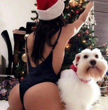 Анкета проститутки Алена - Фото, г. Знаменка, 21 год, №7115